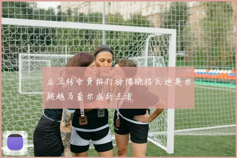 后卫转会费排行榜揭晓格瓦迪奥尔超越马奎尔成新王者