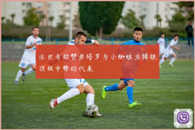 法尔考称赞劳塔罗与小蜘蛛为稀缺顶级中锋的代表